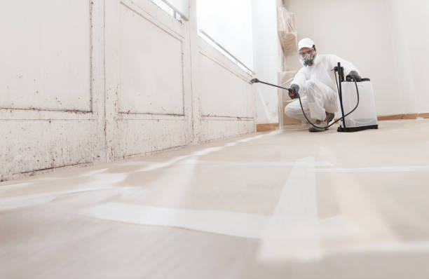 24/7 Emergency Mold Removal experts in Aurora, IL