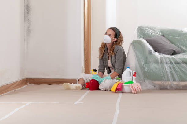 Reliable Mold Removal contractor in Aurora, IL by Mold Remediation HQ